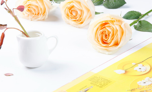 物流公司實習報告精選十二篇