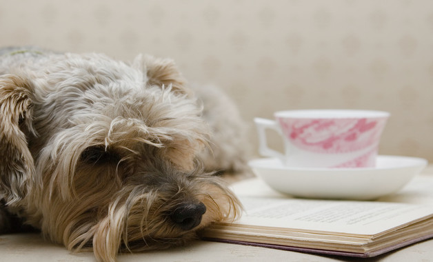 學(xué)生酒店管理的實(shí)習(xí)報(bào)告十二篇 學(xué)生酒店管理的實(shí)習(xí)報(bào)告十二篇