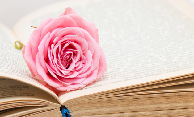 關于銀行實習內(nèi)容的心得體會(12篇范文)