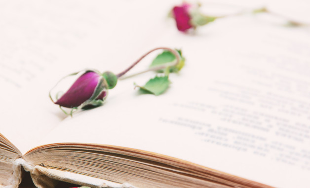 學前教育實習報告精選十二篇 學前教育實習報告精選十二篇