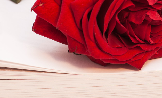 2023機關單位工作總結2000字十篇 2023機關單位工作總結2000字十篇