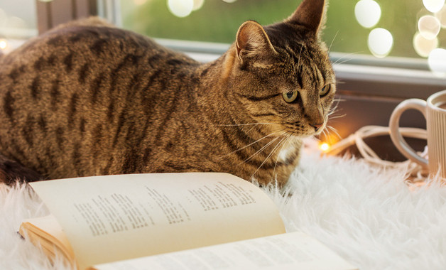 物流實習報告格式十二篇