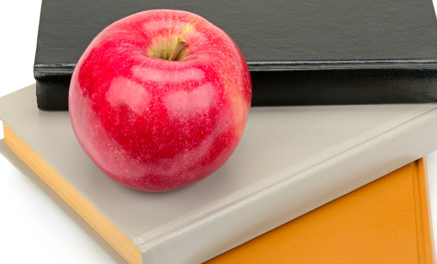 年級體育教學總結怎么寫