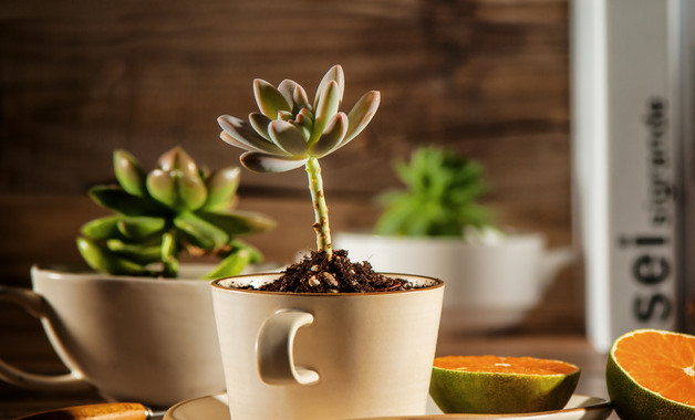 鼓風機崗位操作規程(八篇)