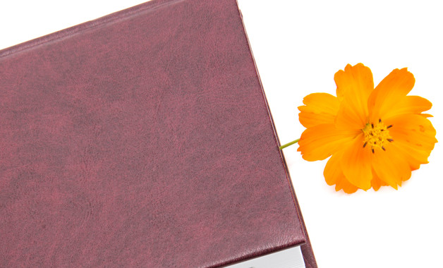 社區低保工作總結怎么寫十篇