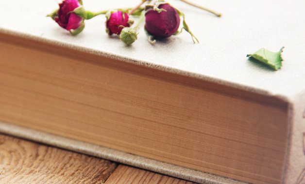 有關于社區換屆選舉工作個人總結十篇