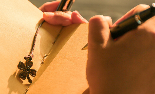 2023黨員半年總結十篇