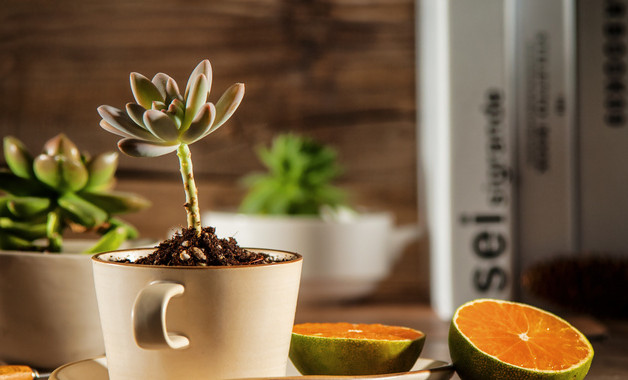 大學生計算機專業實習報告提綱十二篇 大學生計算機專業實習報告提綱十二篇