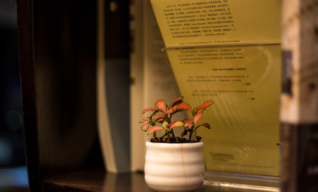 出納試用期工作總結及轉正申請十篇