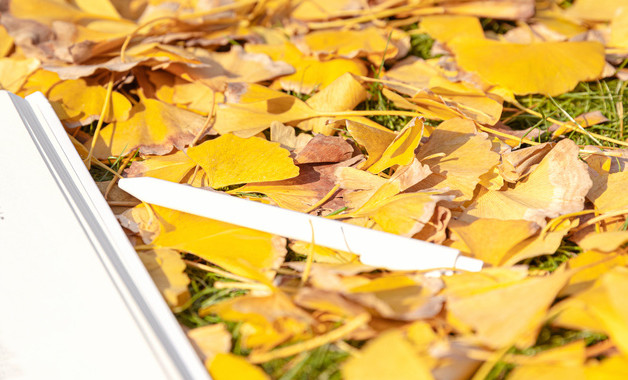 有限責任公司安全管理制度(五篇)