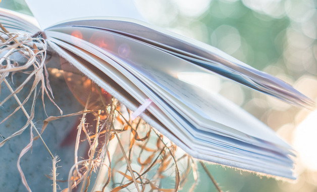 水利水電工程認識實習報告八篇