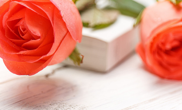 格式合同整治工作調研報告(3篇范文)