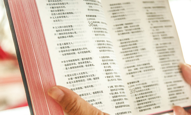 社保年終工作總結(jié)十篇