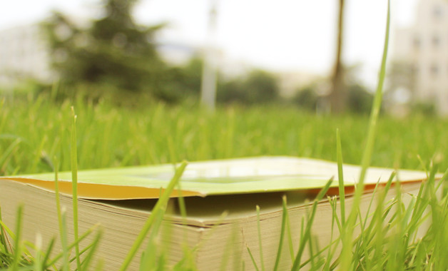 xxxx年10月服裝銷售實(shí)習(xí)報(bào)告十二篇