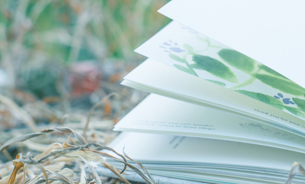 老師主題演講稿模板（5篇范文）