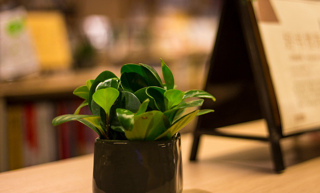 春季開學講話稿模板(20篇范文) 春季開學講話稿模板(20篇范文)