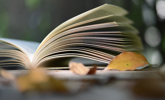 大學建筑認識實習報告十二篇