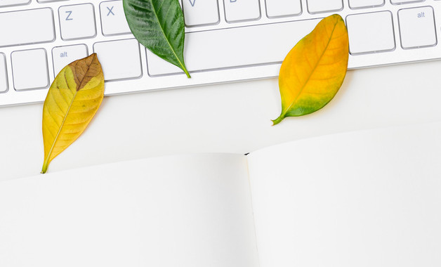 2024年鐵路實(shí)習(xí)報(bào)告精選十二篇