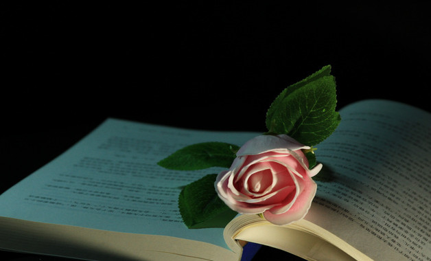 有關(guān)于素質(zhì)教育的活動(dòng)總結(jié)十篇