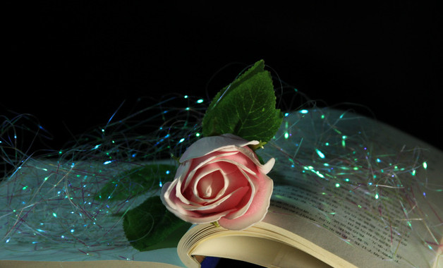 社區年終的工作總結800字十篇