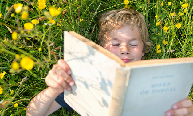 大學生公司畢業實習報告十二篇