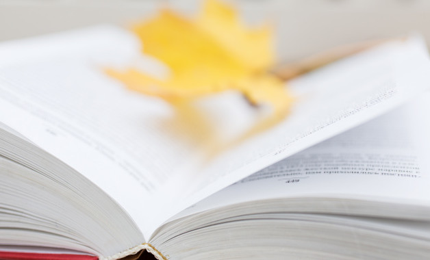 設計院個人實習報告十二篇