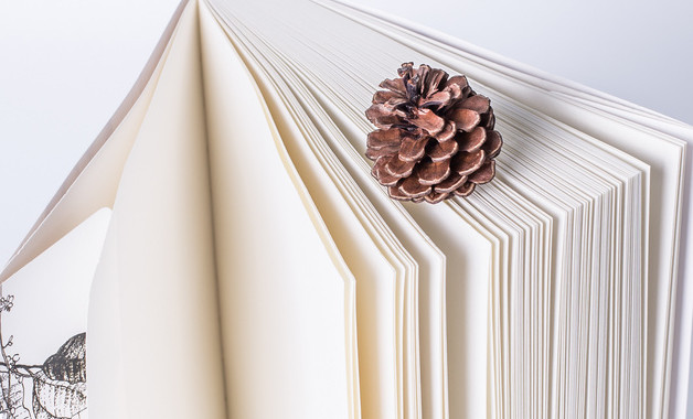 xxxx年應屆大學生畢業實習報告:教育教學實習報告六篇 xxxx年應屆大學生畢業實習報告:教育教學實習報告六篇