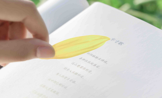 大學生xxxx年社會實踐活動工作總結十篇