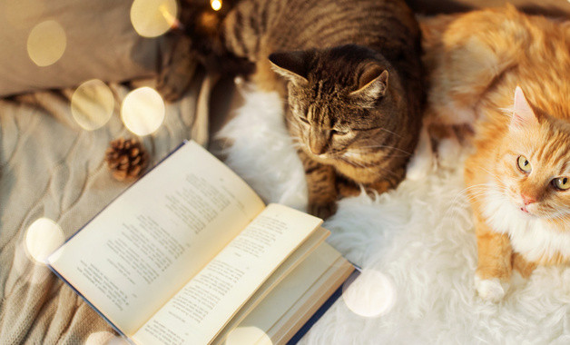 三下鄉暑期實習報告2000字七篇