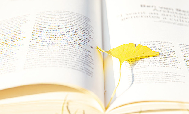 2024平面設計實習報告十二篇