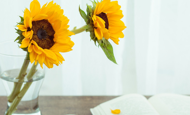 2025年試用期員工轉正心得怎么寫(精選8篇) 2025年試用期員工轉正心得怎么寫(精選8篇)