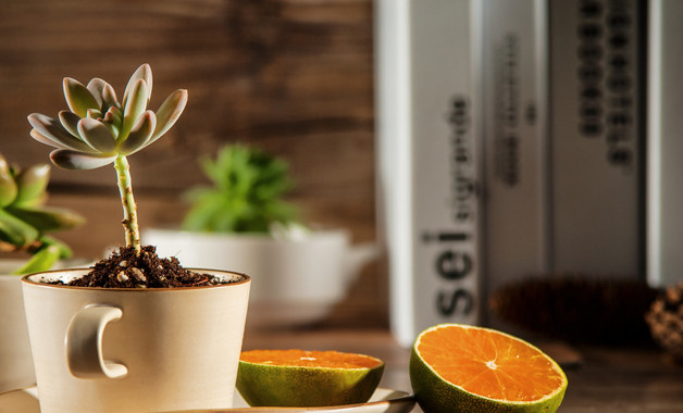 2023年10月份德育個人總結十篇