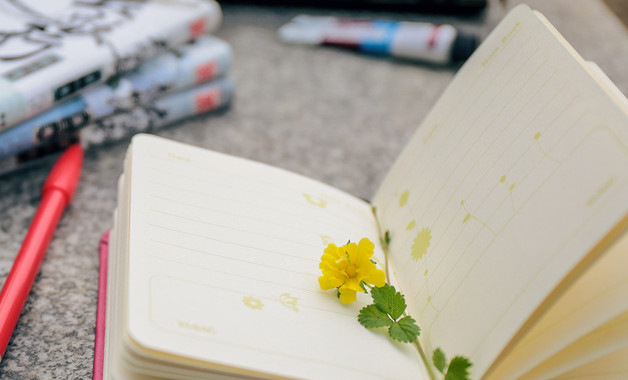 xxxx年財務(wù)出納年度工作總結(jié)十篇