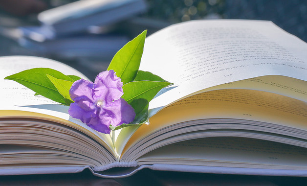 2024土木工程寒假實習報告十二篇