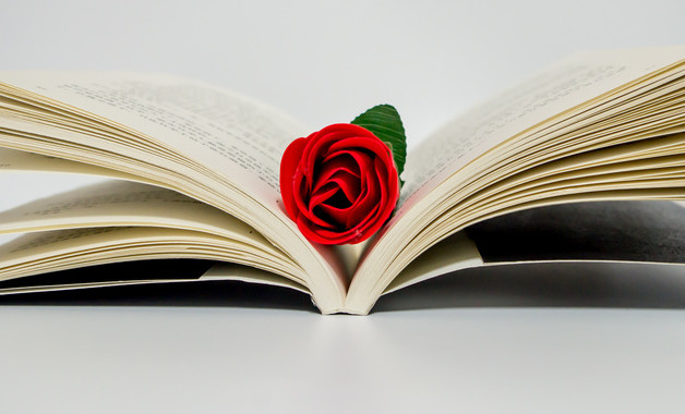 2023年電氣工程師個人年終總結(jié)報告十篇