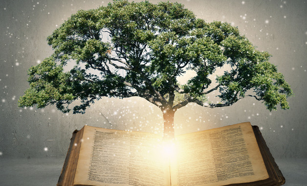 法院暑假實習報告十二篇