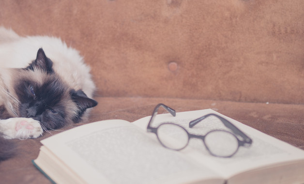 土木工程專業畢業生實習報告總結八篇