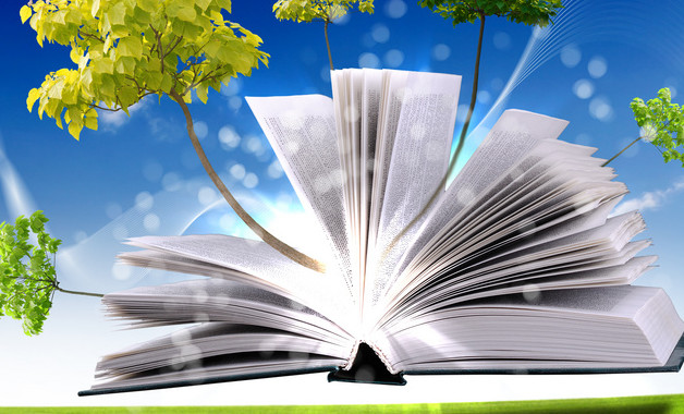 財務實習報告：財務管理專業實習報告十二篇