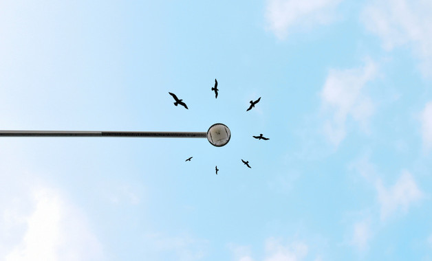 銷售的實(shí)習(xí)報(bào)告十二篇