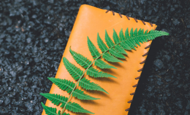 裝修管理規定1（十二篇）