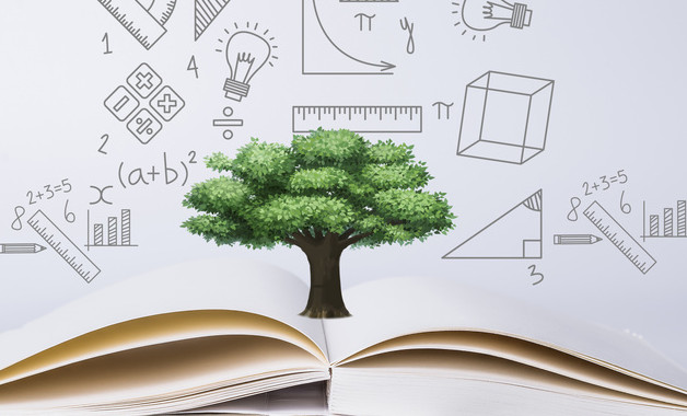 導(dǎo)游實(shí)習(xí)報(bào)告5000字十二篇