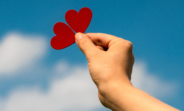 環境調查報告優秀作文(15篇范文)