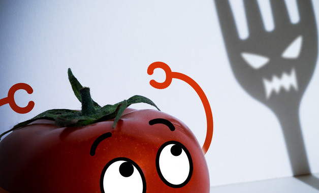 土木工程實習報告3500字十二篇 土木工程實習報告3500字十二篇