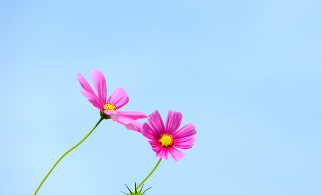 2023年歷史教師年終工作總結十篇