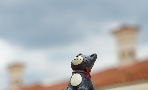 2024年大學生頂崗實習報告3000字十二篇