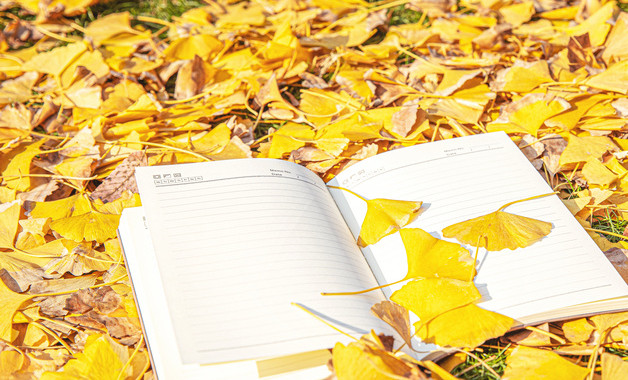 鉗工實習的心得體會(12篇范文) 鉗工實習的心得體會(12篇范文)