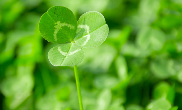 財務個人的年度工作總結十篇